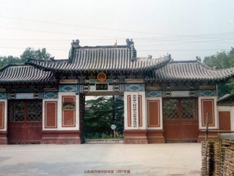 Zhu Zhen