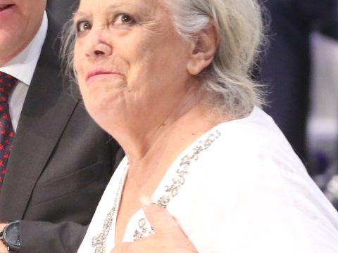 Terele Pávez