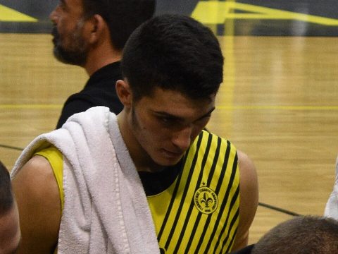 Alexandros Nikolaidis