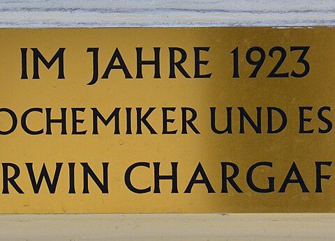 Erwin Chargaff