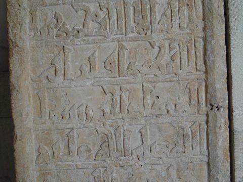 Abu Darda