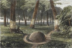 Charles Sturt