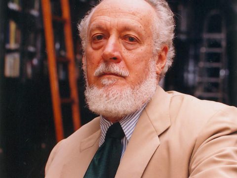 Alberto da Costa e Silva