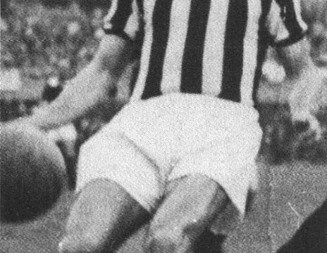 Alberto Bertuccelli