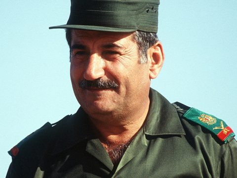 Ali Habib Mahmud