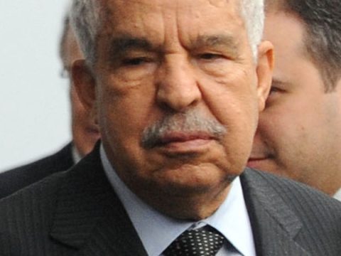 Ali Treki
