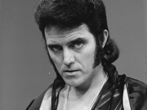 Alvin Stardust