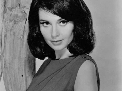Anjanette Comer
