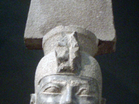 Aspelta
