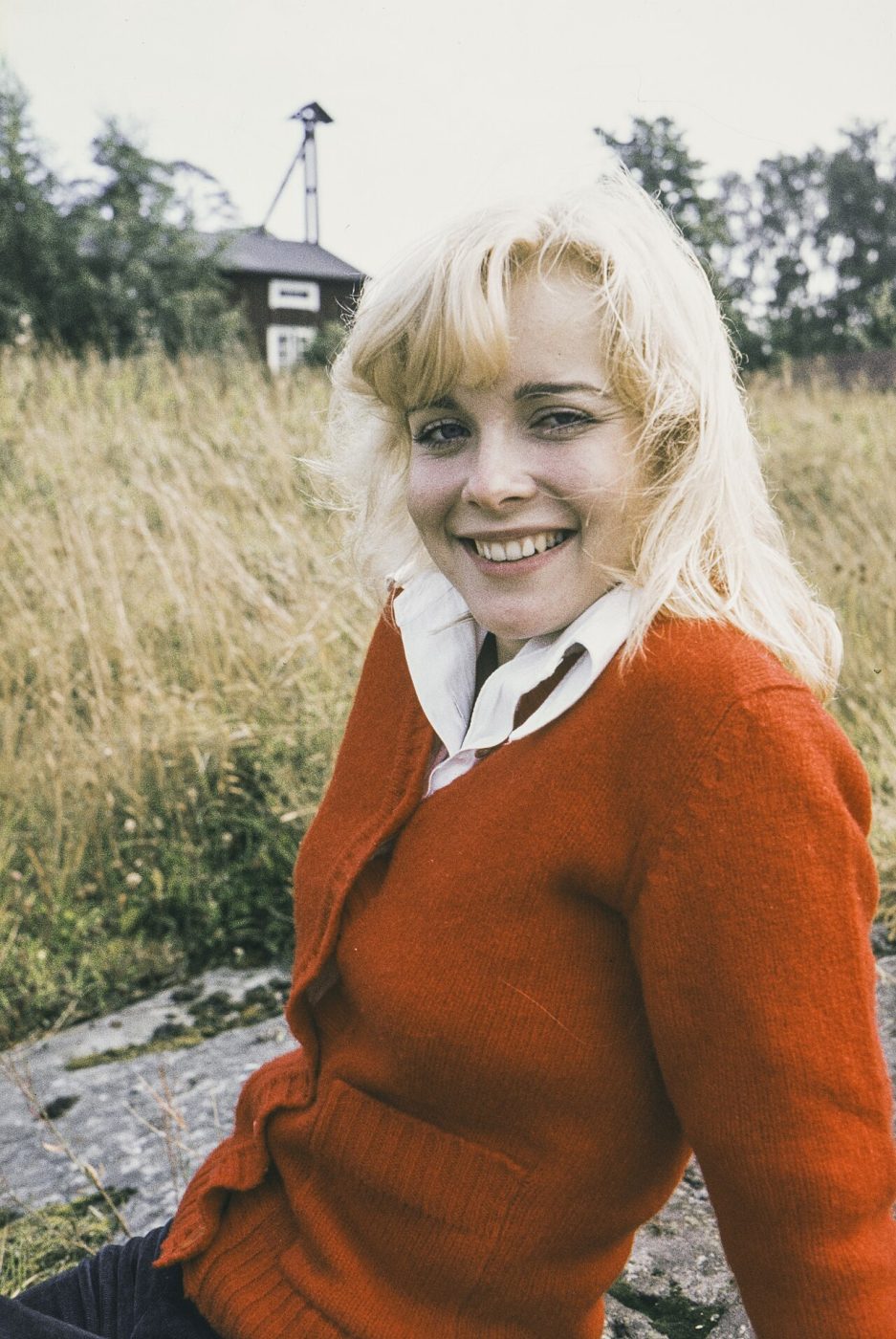 Armi Aavikko