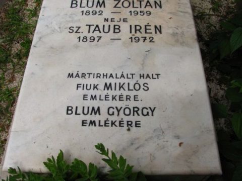 Zoltán Blum
