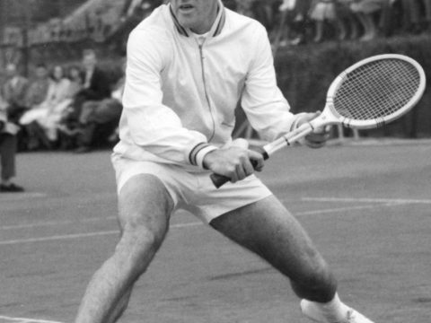 Bob Mark