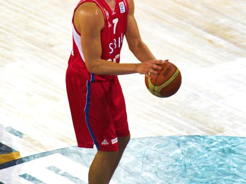 Bogdan Bogdanović