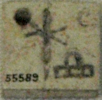 Neithotep