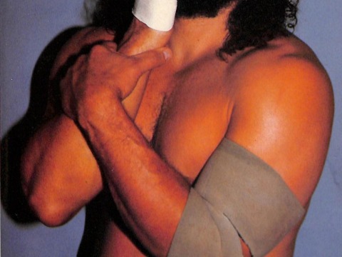 Bruiser Brody
