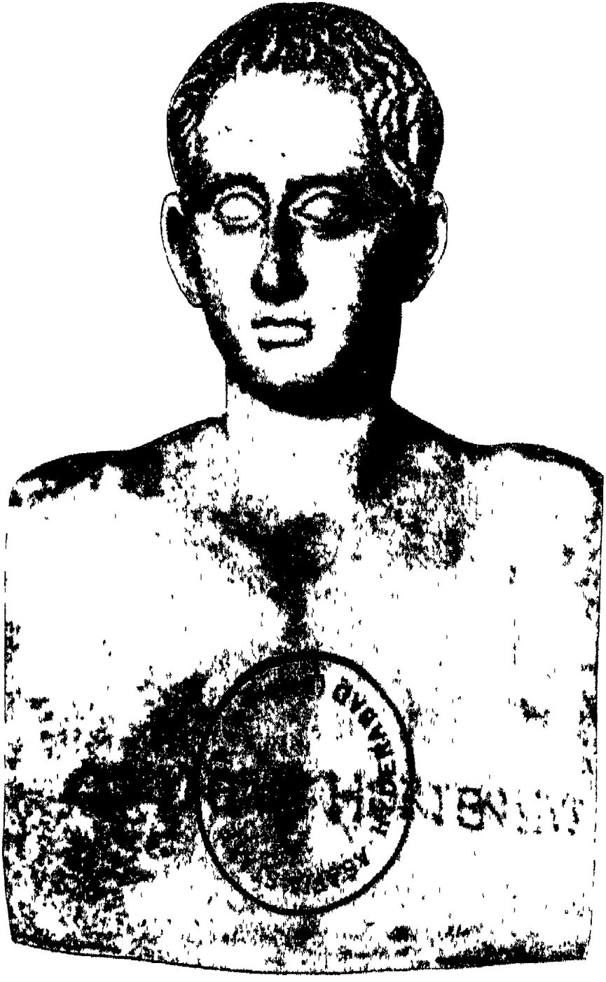 Hortensius