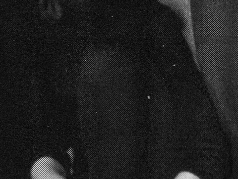 Öllegård Wellton