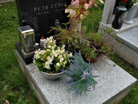 Petr Čepek