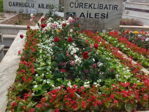Cüneyt Arkın