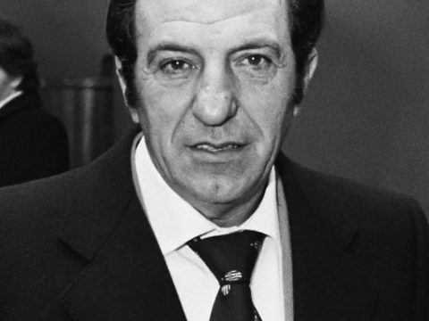 don panini