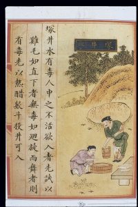 Wang Ming