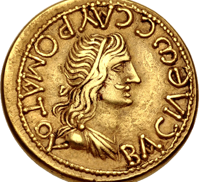 Tiberius Julius Sauromates I