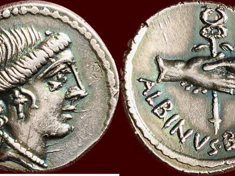 Decimus Junius Brutus