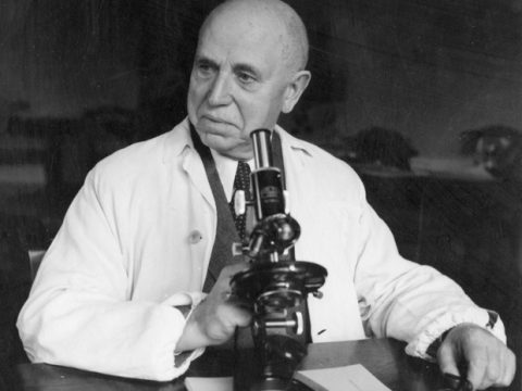 Constantin Ion Parhon