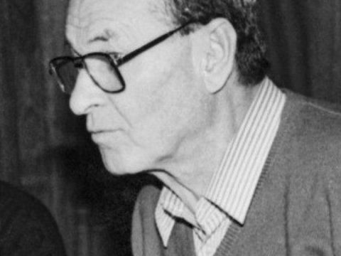Vladimir Motyl