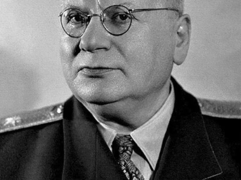 Maxim Litvinov