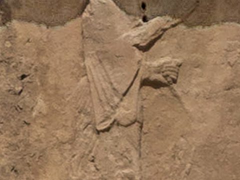 Darius II