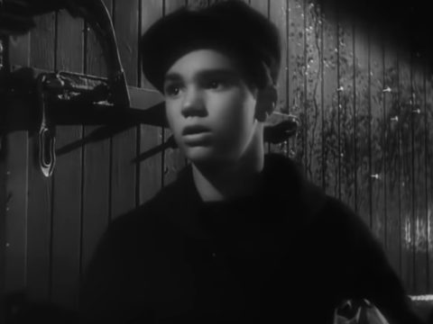 Darryl Hickman