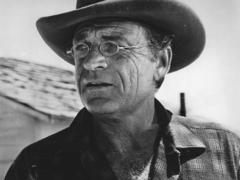 David McLean