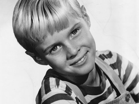 Jay North