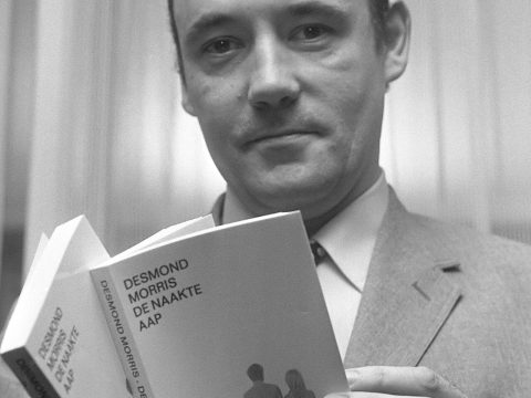 Desmond Morris