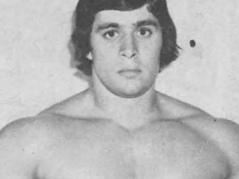Dino Bravo