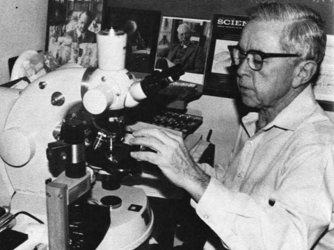 Edward B. Lewis