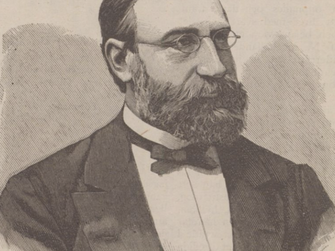 Elis Fischer