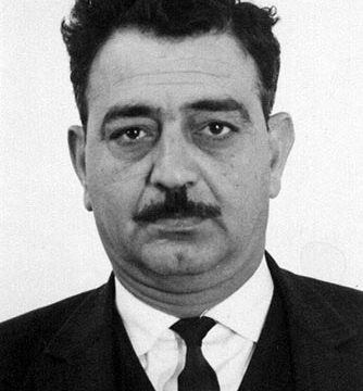 Emile Habibi