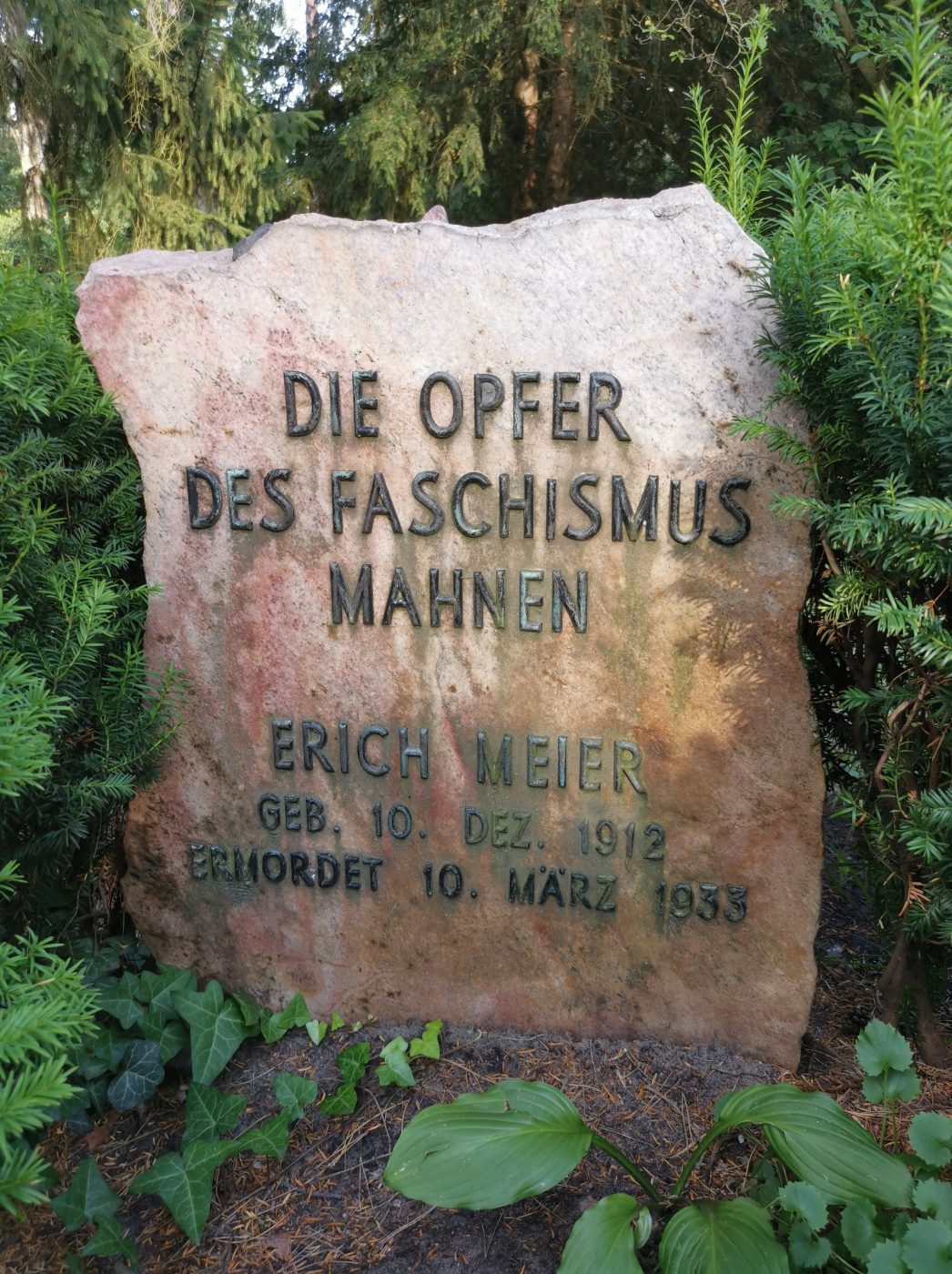 Erich Meier