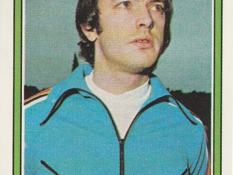 Erwin Vandendaele