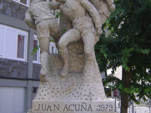 Xoán Acuña Naya