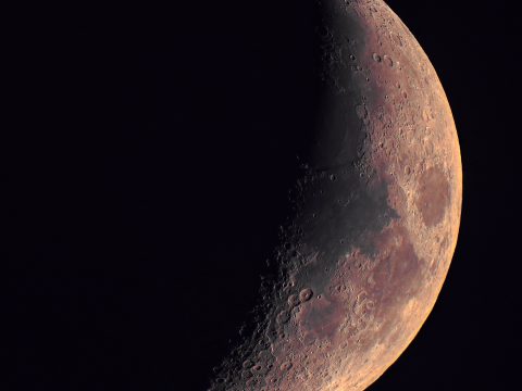 Guy Moon