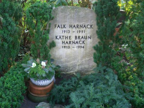 Falk Harnack