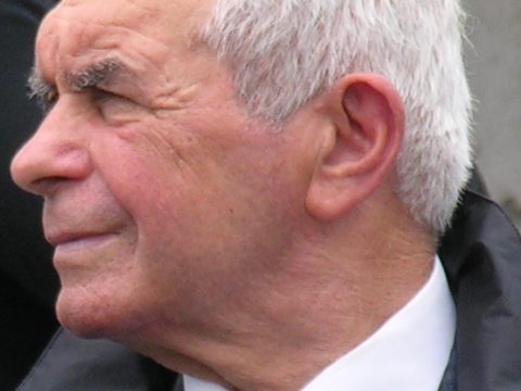 Máté Fenyvesi