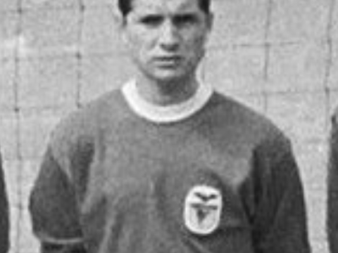 Fernando Cruz