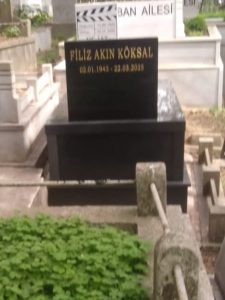 Filiz Akın