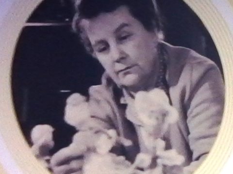 Hermína Týrlová