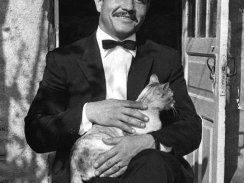 Mihai Volontir