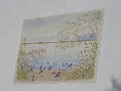 Friedrich Domin